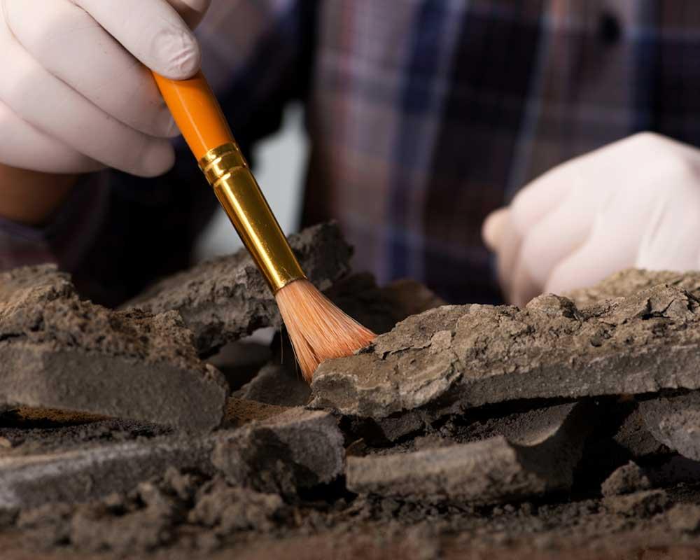 Archaeologist using a brush at a dig