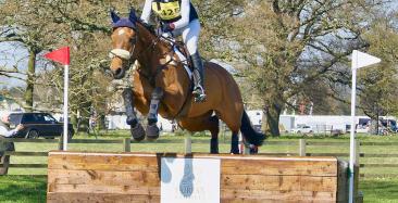 Horse and rider going over a jump